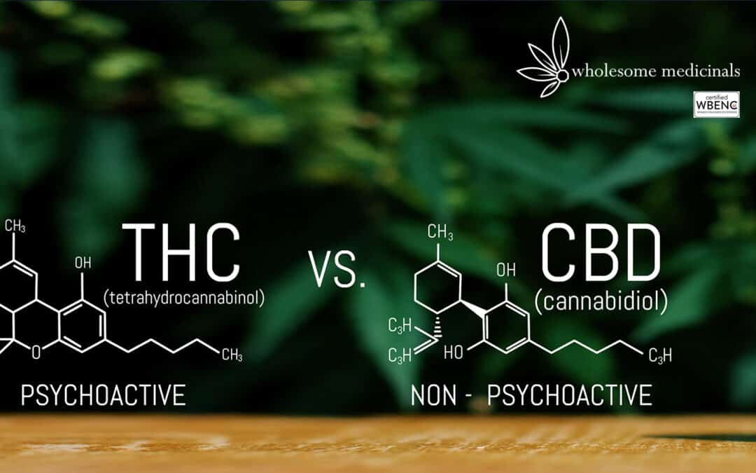 CBD101:  Hemp vs. Marijuana