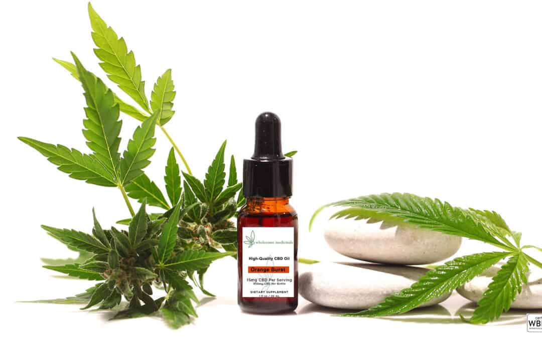 Wholesome Medicinals - Endocannabinoid System and CBD Blog